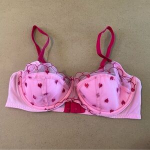 Adore Me Valentines Day Pink and Red Heart Embroidered Bra